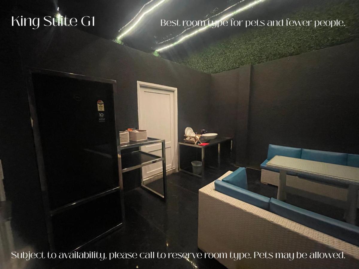 Bellani Villa Maya ポンディシェリ エクステリア 写真