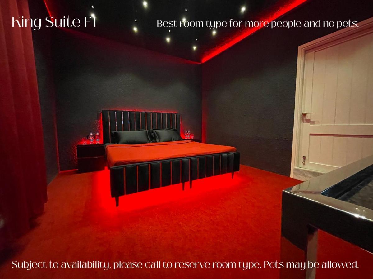 Bellani Villa Maya ポンディシェリ エクステリア 写真